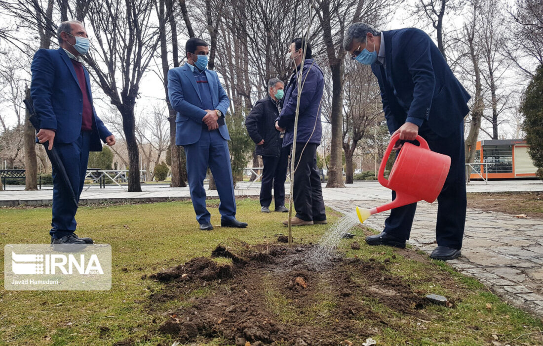 خبرنگاران استان همدان نهال کاشتند
