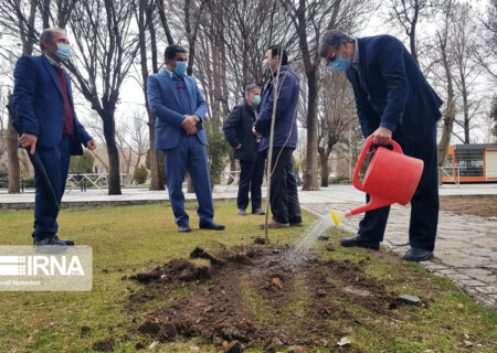 خبرنگاران استان همدان نهال کاشتند