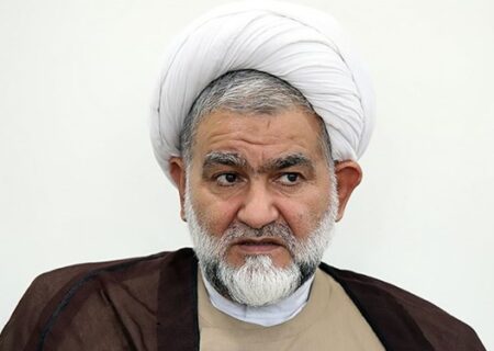 اقدام قاطع قوه قضائیه در برخورد با اغتشاشگران قابل تقدیر و حمایت است