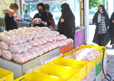 عرضه مرغ زیر قیمت مصوب