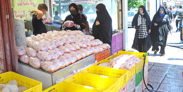 عرضه مرغ زیر قیمت مصوب