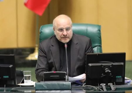 رئیس‌جمهور برای هماهنگی بین مجلس و دولت بیشترین همت را داشت