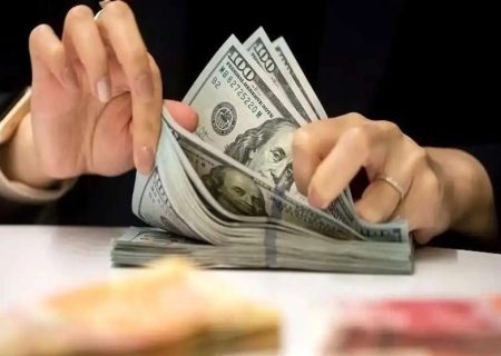 چقدر ارز به کالاهای اساسی و دارو پرداخت شد؟