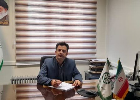 توزیع روزانه حدود ۴۰۰ تن کود کشاورزی اوره در استان همدان