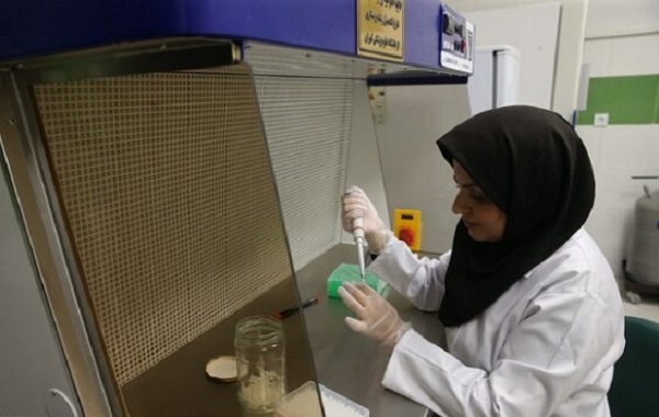 ظرفیت پذیرش دکتری پژوهشی و فناوری محور علوم پزشکی ۱۴۰۴ افزایش یافت