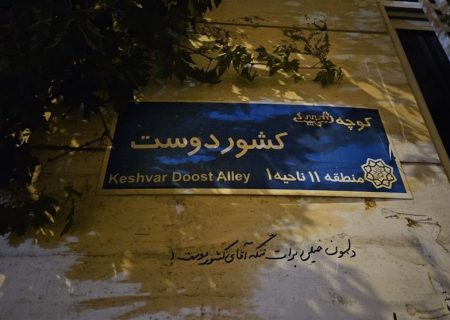دخترک بر دیوار کشوردوست نوشت؛ قرار بود جان ما فدای رهبر بشه! اما…